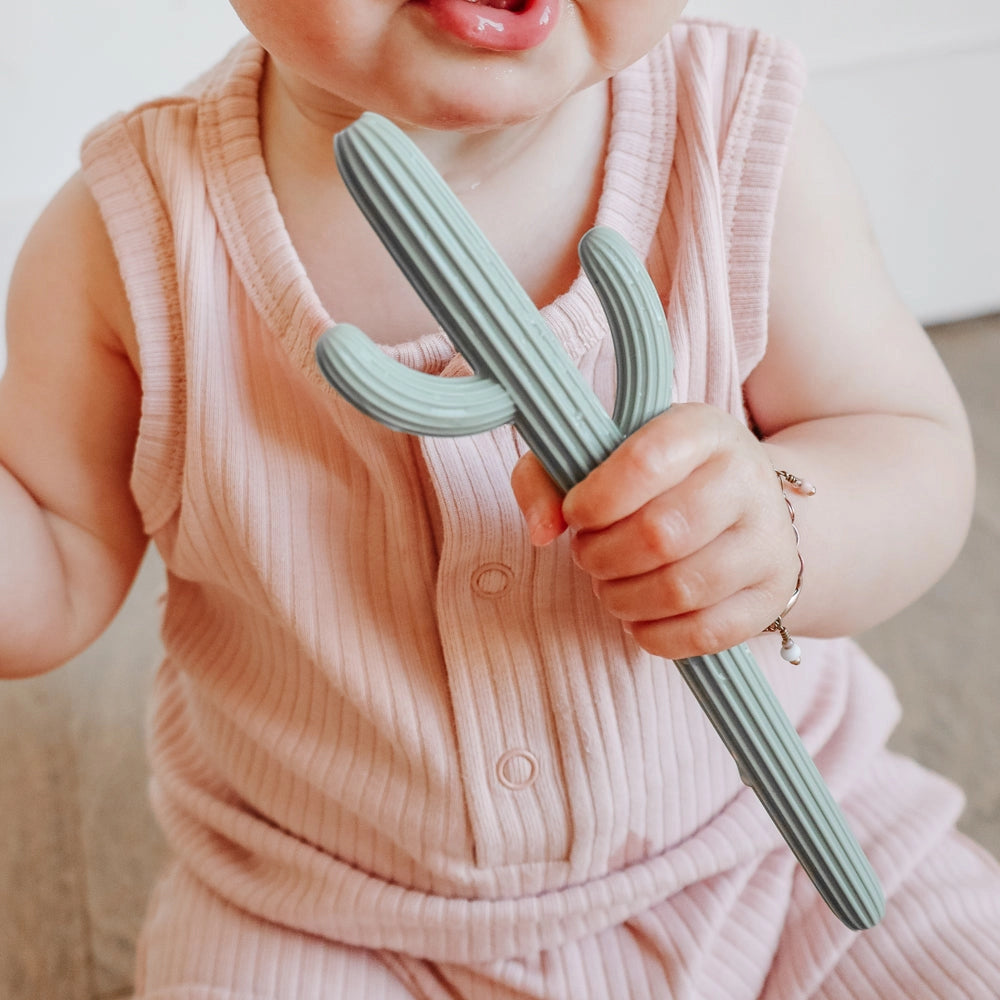 cactus teether